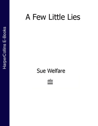 Sue  Welfare. A Few Little Lies