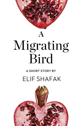 Элиф Шафак. A Migrating Bird: A Short Story from the collection, Reader, I Married Him