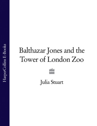 Julia  Stuart. Balthazar Jones and the Tower of London Zoo