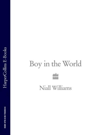 Niall  Williams. Boy in the World