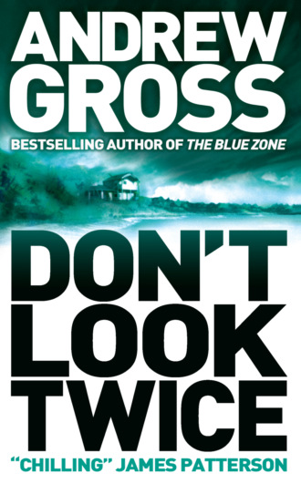 Andrew  Gross. Don’t Look Twice