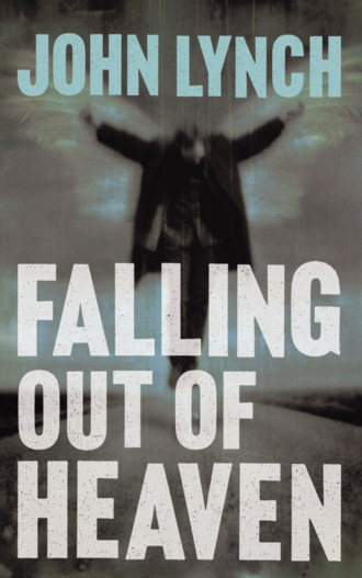 John  Lynch. Falling out of Heaven