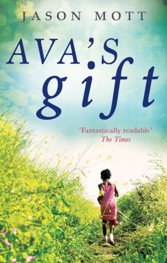 Jason  Mott. Ava's Gift