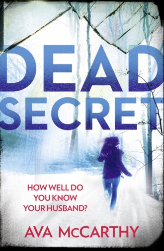 Ava  McCarthy. Dead Secret