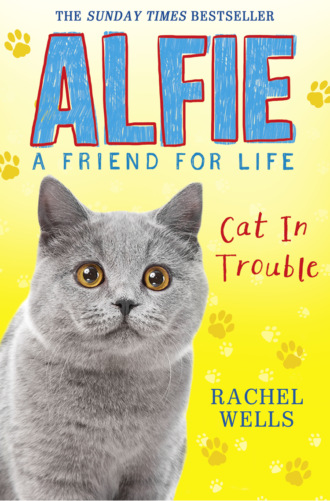 Rachel  Wells. Alfie Cat In Trouble