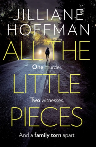 Jilliane  Hoffman. All the Little Pieces