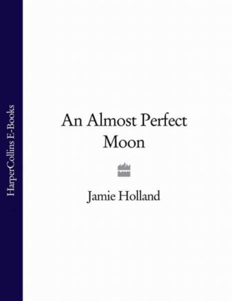 Jamie Holland. An Almost Perfect Moon