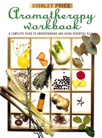 Shirley  Price. Aromatherapy Workbook