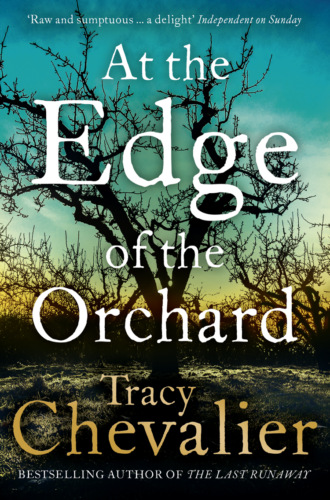 Tracy  Chevalier. At the Edge of the Orchard