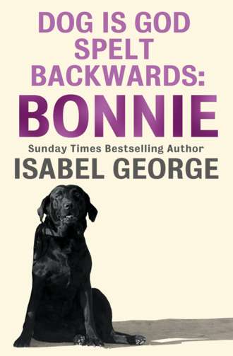 Isabel  George. DOG Is GOD Spelt Backwards: Bonnie