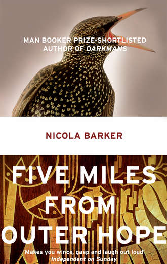 Nicola  Barker. Five Miles from Outer Hope