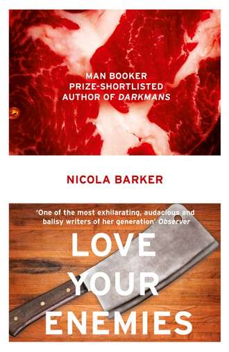 Nicola  Barker. Love Your Enemies