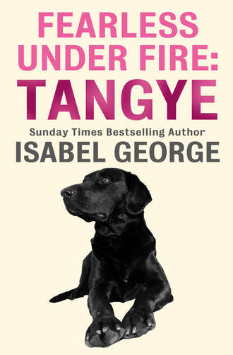 Isabel  George. Fearless Under Fire: Tangye