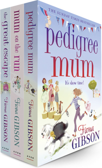 Fiona  Gibson. Fiona Gibson 3 Book Bundle