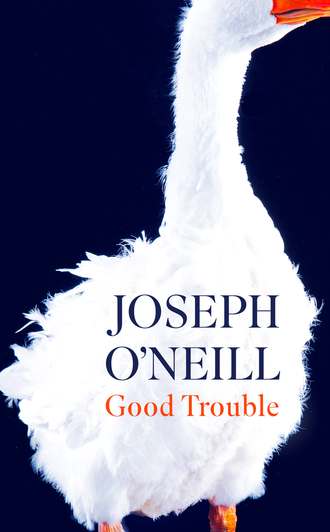 Joseph O’Neill. Good Trouble