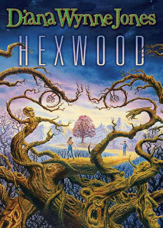 Diana Wynne Jones. Hexwood