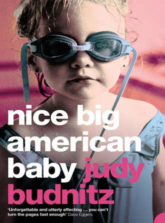 Judy  Budnitz. Nice Big American Baby