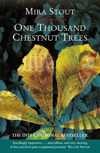 Mira Stout. One Thousand Chestnut Trees