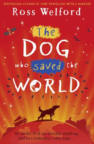 Ross  Welford. The Dog Who Saved the World