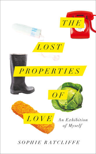 Sophie  Ratcliffe. The Lost Properties of Love