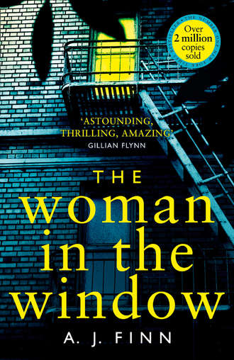 A. Finn J.. The Woman in the Window: The most exciting debut thriller of 2018