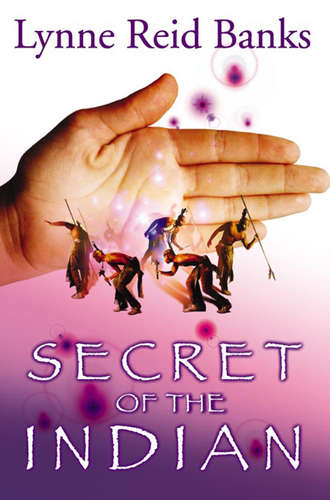 Lynne Banks Reid. Secret of the Indian