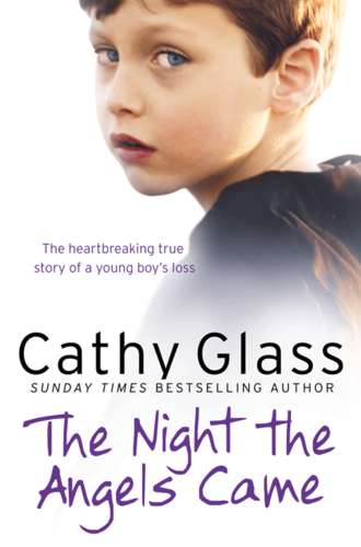 Cathy Glass. The Night the Angels Came