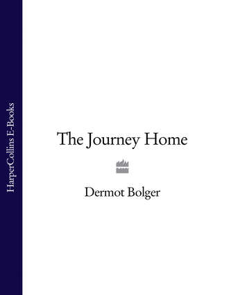 Dermot  Bolger. The Journey Home