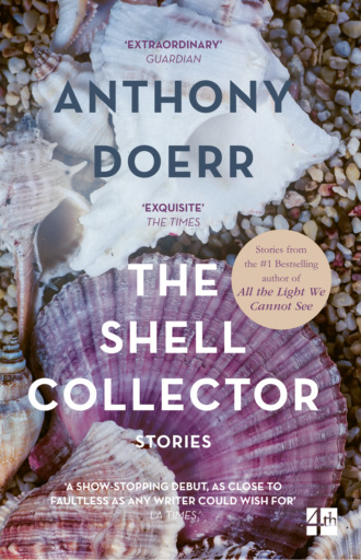 Anthony  Doerr. The Shell Collector