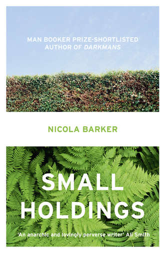 Nicola  Barker. Small Holdings