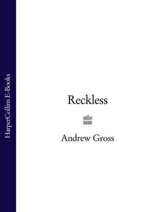 Andrew  Gross. Reckless