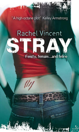 Rachel  Vincent. Stray