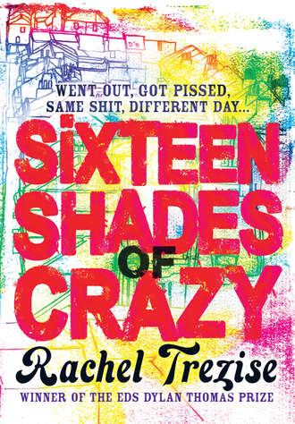 Rachel  Trezise. Sixteen Shades of Crazy