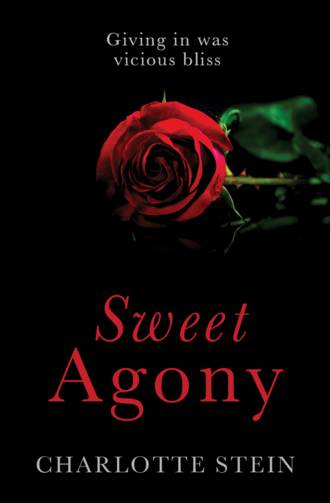 Charlotte  Stein. Sweet Agony