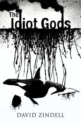 David Zindell. The Idiot Gods