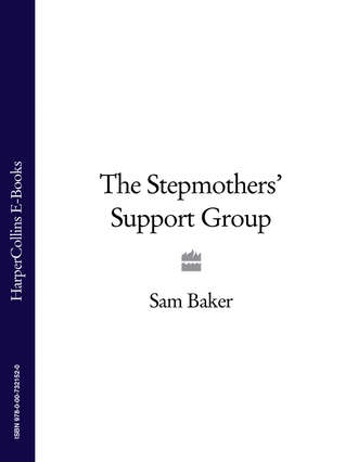 Sam  Baker. The Stepmothers’ Support Group