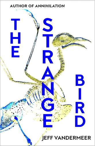 Jeff  VanderMeer. The Strange Bird