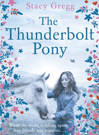 Stacy  Gregg. The Thunderbolt Pony