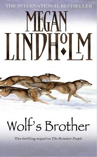 Megan  Lindholm. Wolf’s Brother