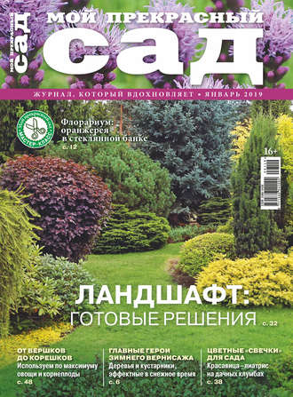 Обложка книги «Мой прекрасный сад №01/2019»