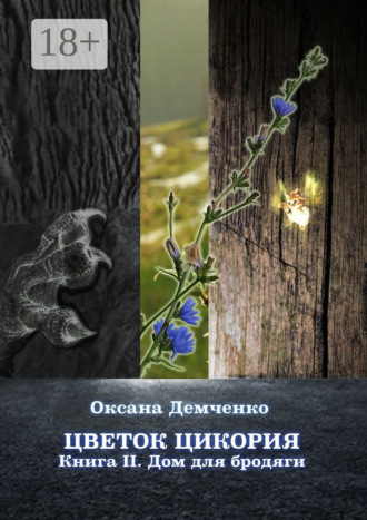 Обложка книги «Цветок цикория. Книга II. Дом для бродяги»