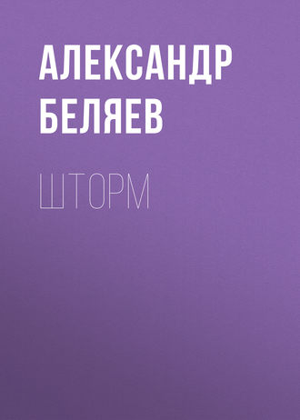 Обложка книги «Шторм»