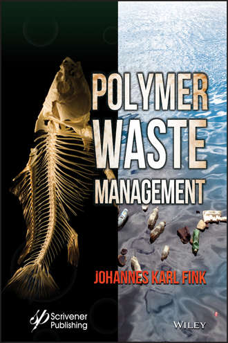 Johannes Fink Karl. Polymer Waste Management