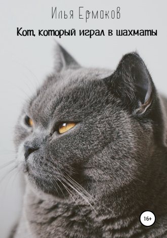 Обложка книги «Кот, который играл в шахматы»
