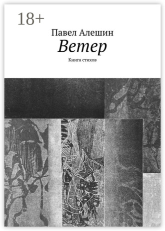 Обложка книги «Ветер. Книга стихов»