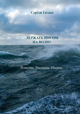 Сергей Гагаев. Держать носом на волну