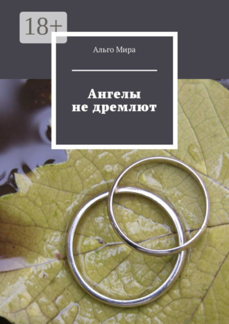 Обложка книги «Ангелы не дремлют»