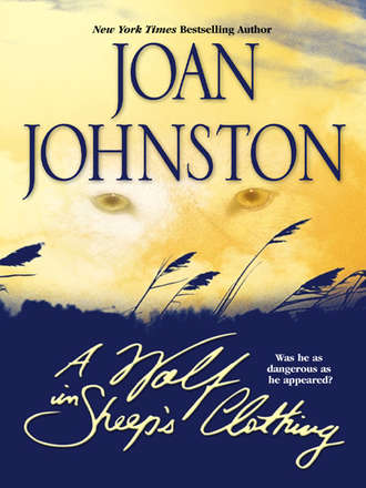 Joan  Johnston. A Wolf In Sheep's Clothing