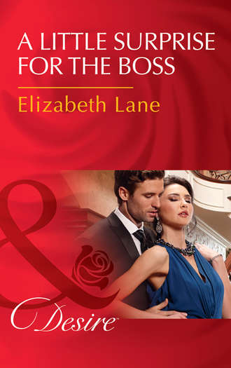 Elizabeth Lane. A Little Surprise For The Boss