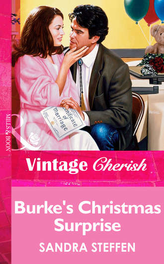 Sandra  Steffen. Burke's Christmas Surprise